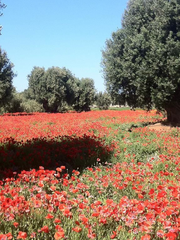 Masseria Torremossa Фазано Экстерьер фото